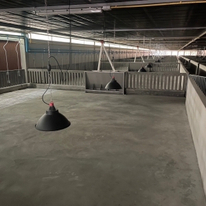 LINE_ALBUM_ฟาร์มสุกรขุนรุ่นพันธุ์5หลังพร๊อพเพอร_231127_2