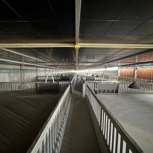 LINE_ALBUM_ฟาร์มสุกรขุนรุ่นพันธุ์ 5หลังพร๊อพเพอร_231127_2