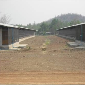 รูปภาพ12