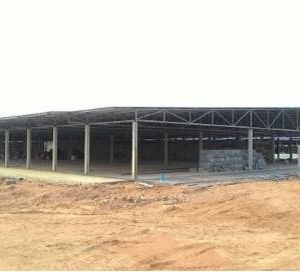 รูปภาพ1