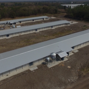 สหฟาร์ม ทรัพย์3 100261_190426_0001