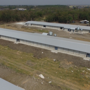 สหฟาร์ม ทรัพย์3 100261_190426_0007