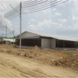 รูปภาพ40