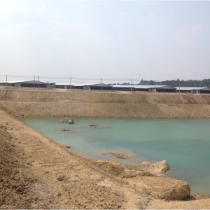 รูปภาพ43