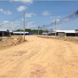 รูปภาพ45