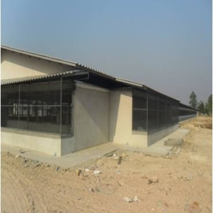 รูปภาพ14