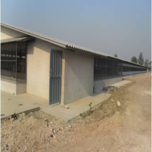 รูปภาพ16