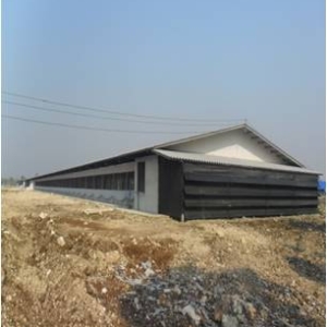 รูปภาพ17