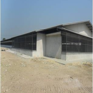 รูปภาพ19